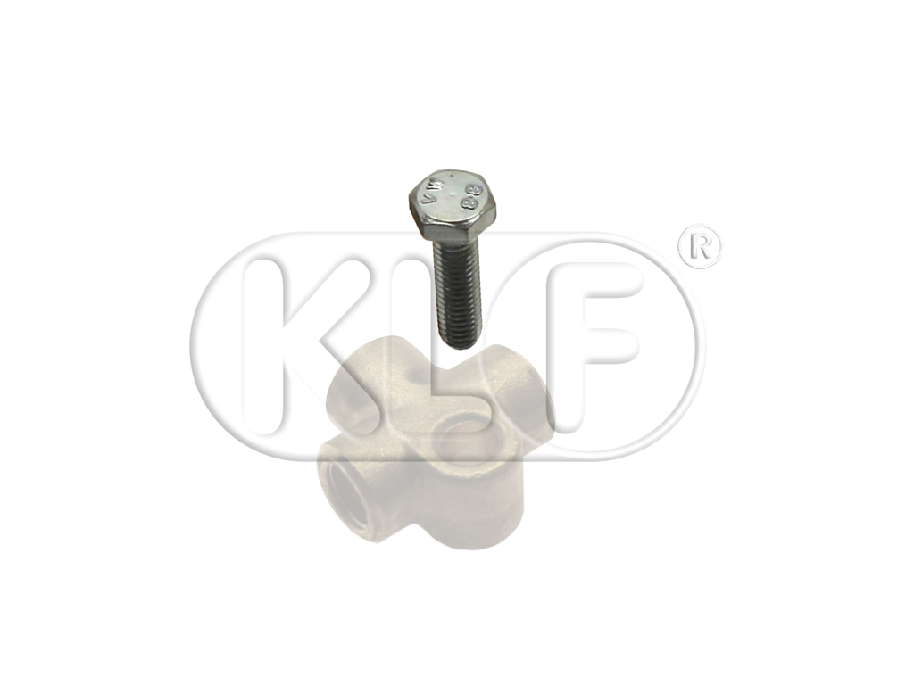 Screw for brake line fitting