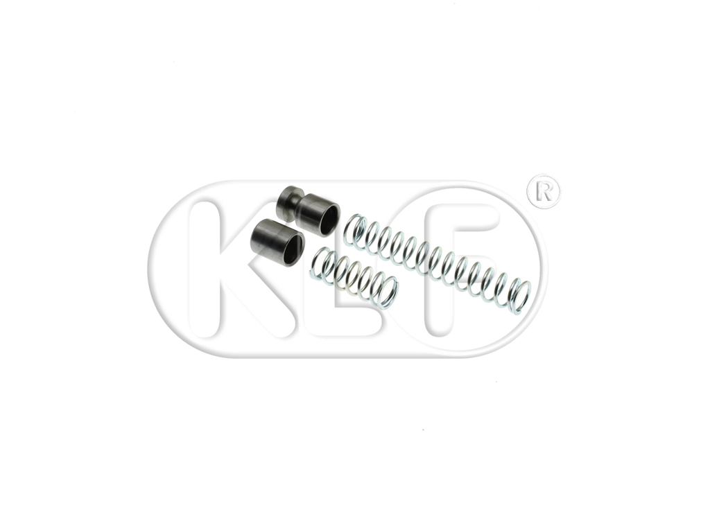 Oil Plungers and Springs Kit