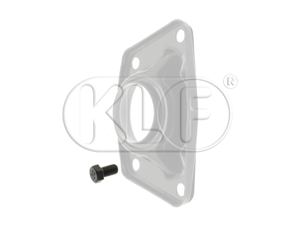 Schraube für Drehstabdeckel, M10x18, SW15, ab Bj. 08/59