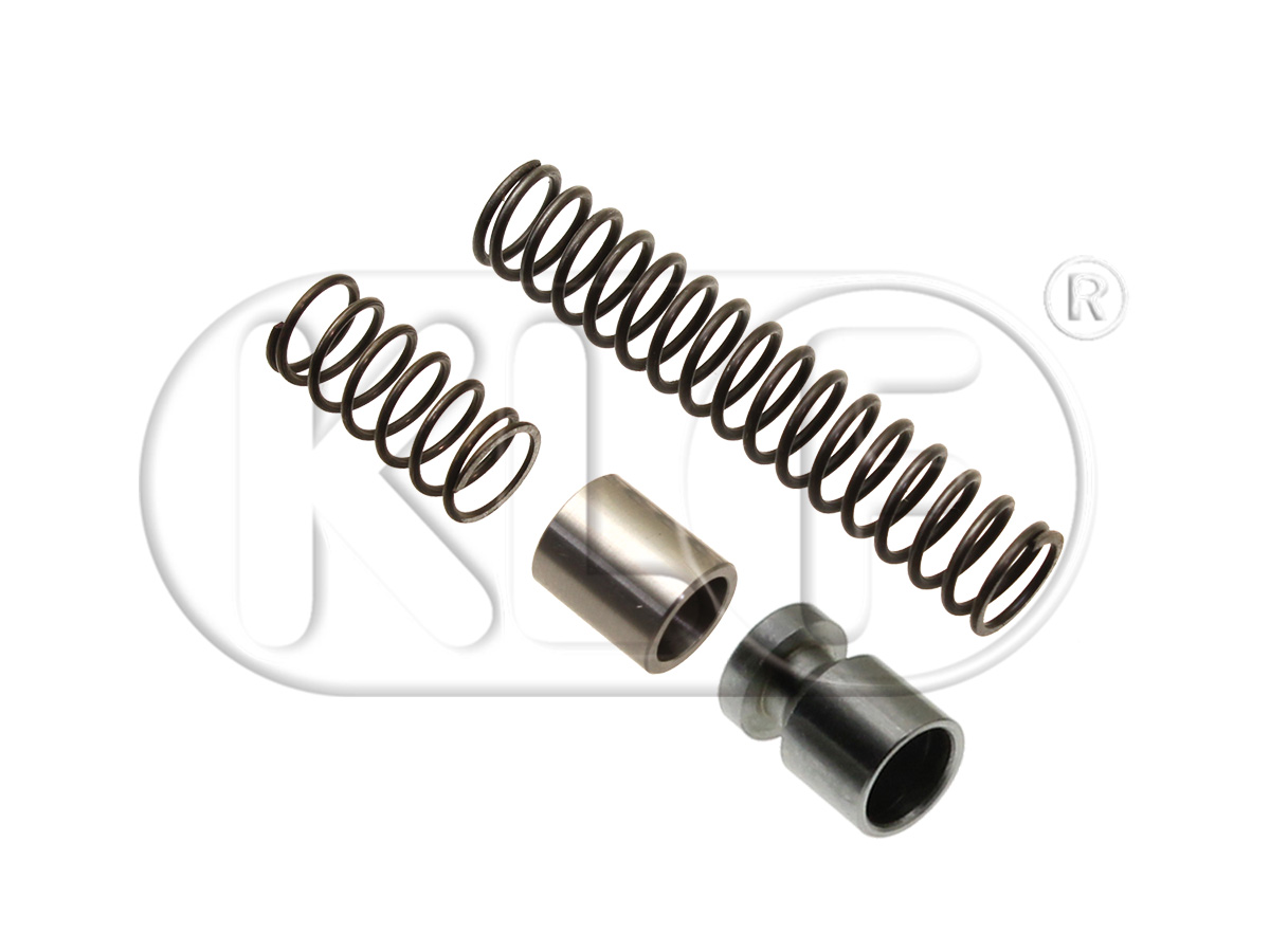 Oil Plungers and Springs Kit