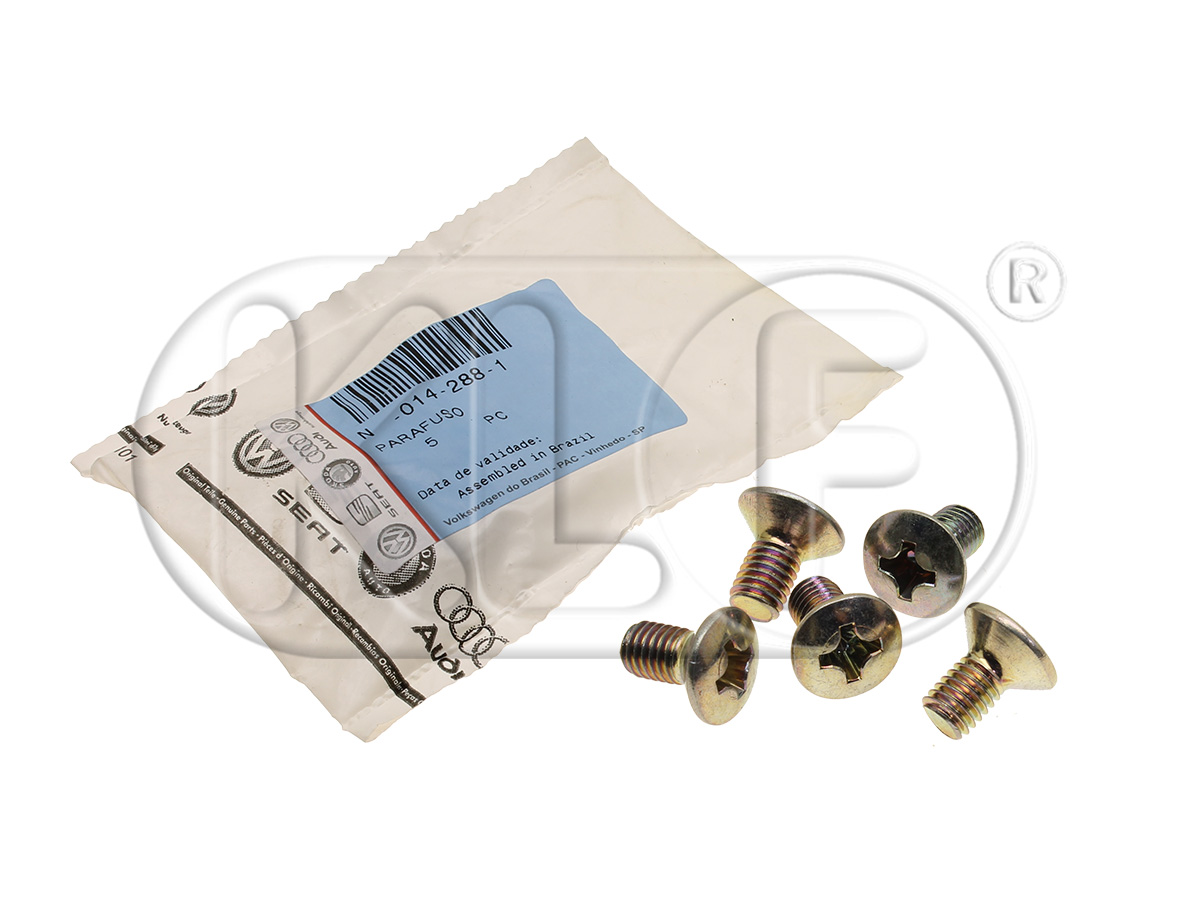 Schraube für Türscharnier, Satz (5 Stück), NOS